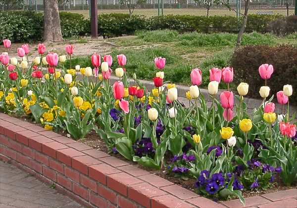 ���᡼�� 1