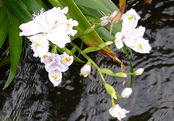 ���᡼�� 1