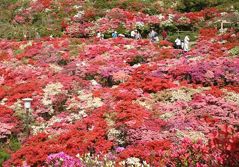 ���᡼�� 1