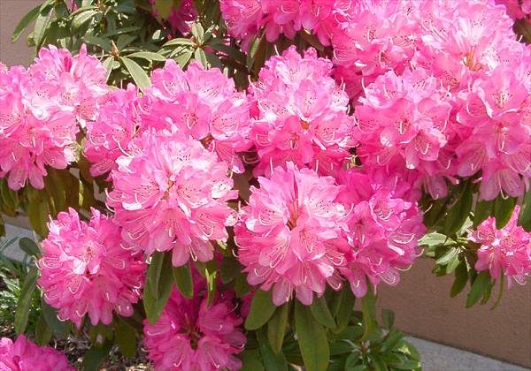 ���᡼�� 1