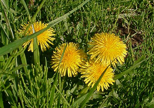 ���᡼�� 1