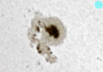 ���᡼�� 1