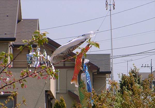 ���᡼�� 1