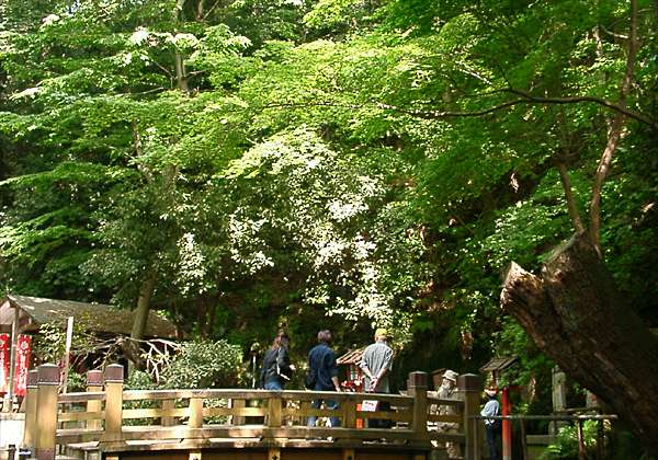 ���᡼�� 2