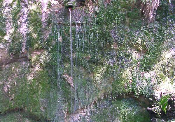 ���᡼�� 3