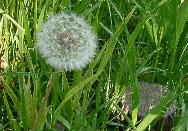 ���᡼�� 1