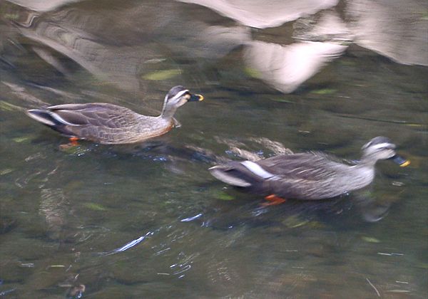 ���᡼�� 1