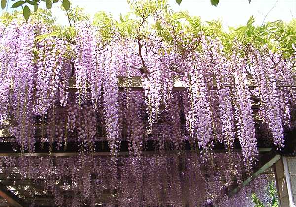 ���᡼�� 1