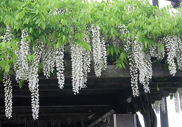 ���᡼�� 1