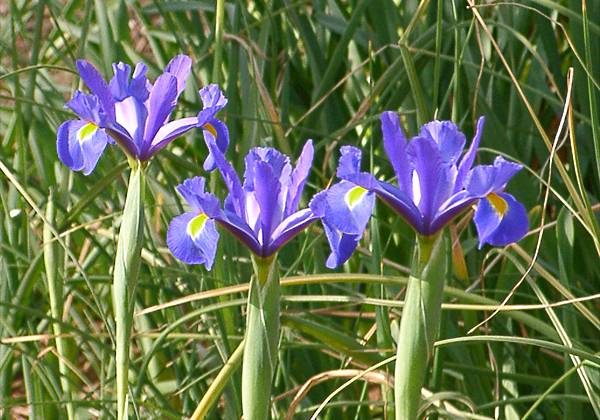 ���᡼�� 1