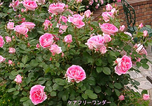 ���᡼�� 2