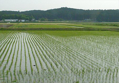 ���᡼�� 1