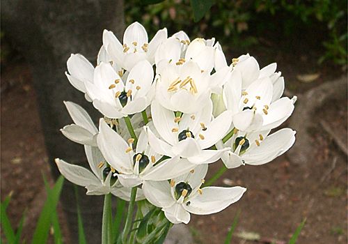 ���᡼�� 1