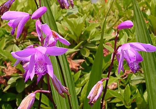 ���᡼�� 1