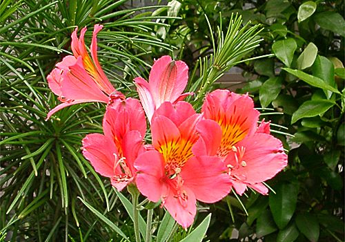 ���᡼�� 1