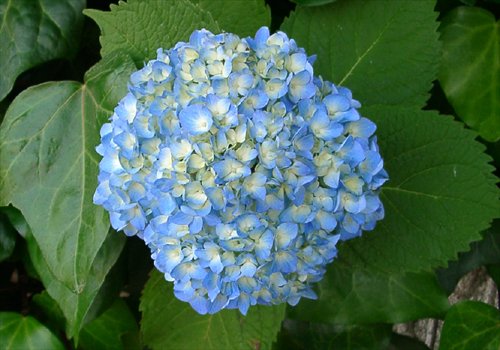 ���᡼�� 3