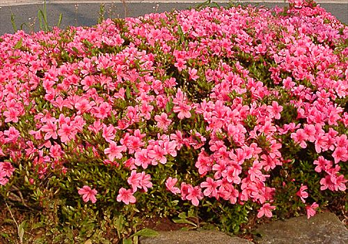 ���᡼�� 1