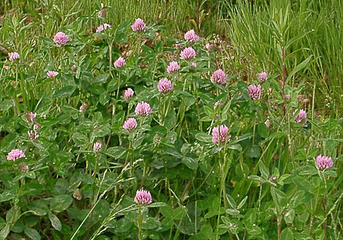 ���᡼�� 2