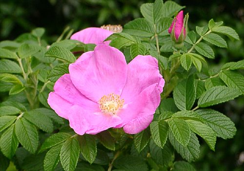 ���᡼�� 1