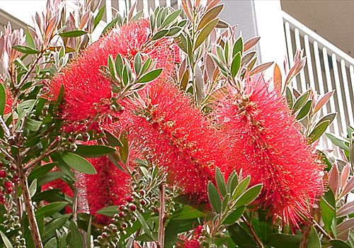 ���᡼�� 2