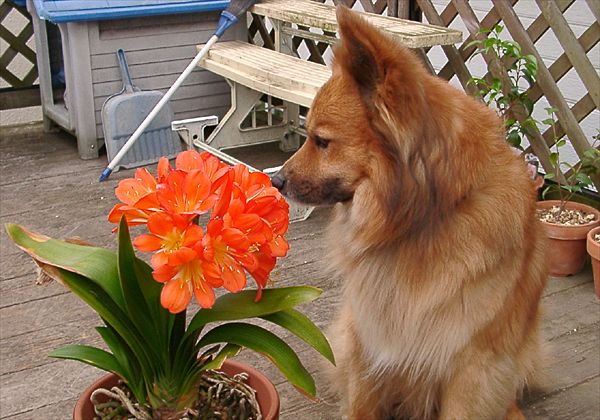 ���᡼�� 1