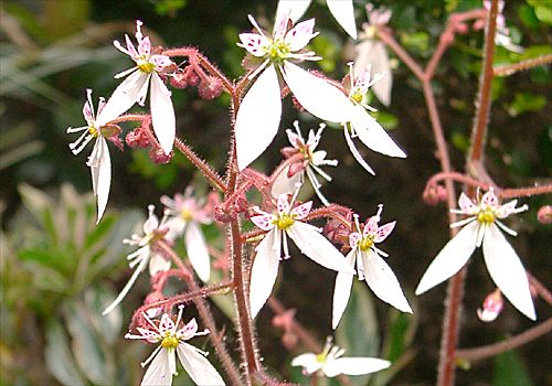 ���᡼�� 2