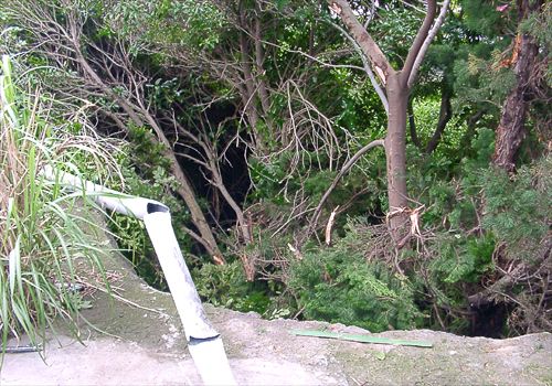 ���᡼�� 2