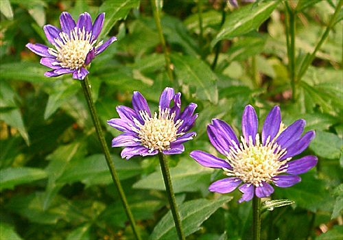 ���᡼�� 1