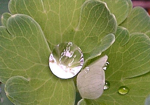 ���᡼�� 1