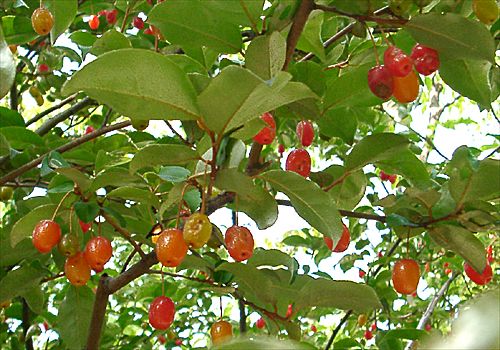 ���᡼�� 1