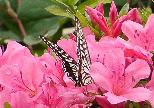 ���᡼�� 1