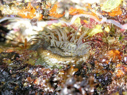 ���᡼�� 1