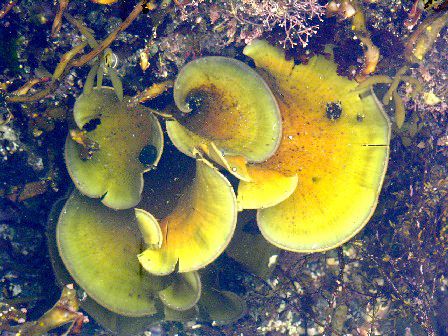 ���᡼�� 1