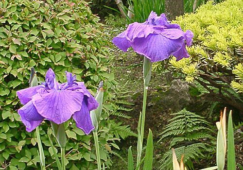 ���᡼�� 1