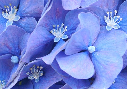 ���᡼�� 1