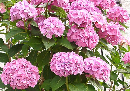 ���᡼�� 2