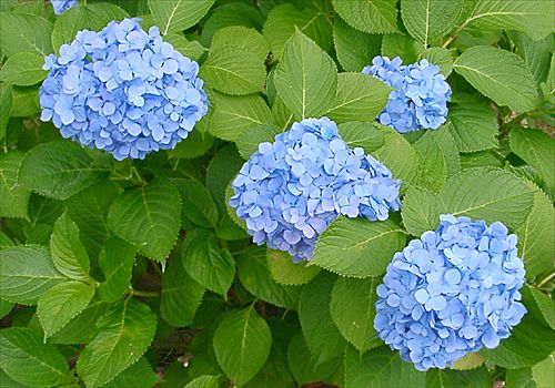 ���᡼�� 3