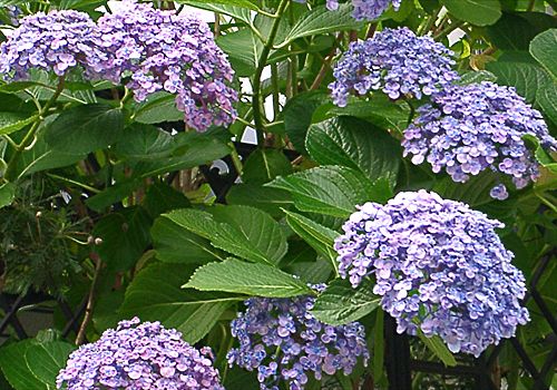 ���᡼�� 1