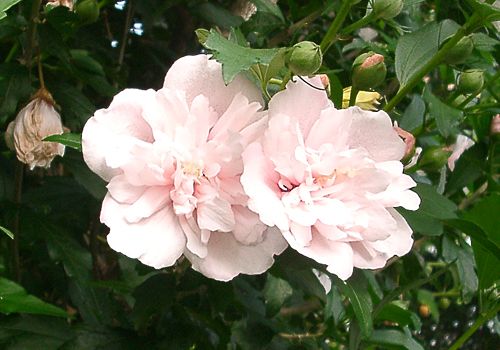 ���᡼�� 3