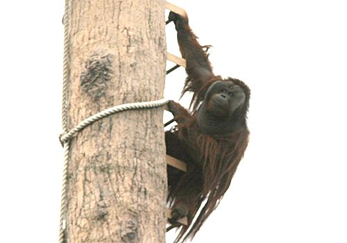 ���᡼�� 5