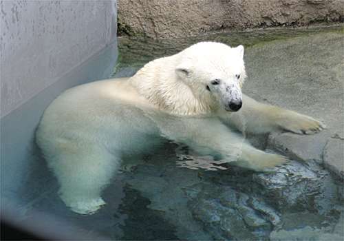 ���᡼�� 6