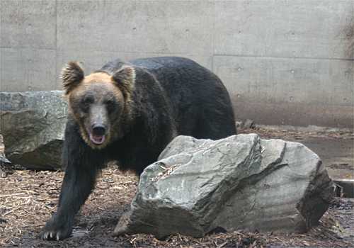 ���᡼�� 7