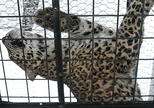 ���᡼�� 9