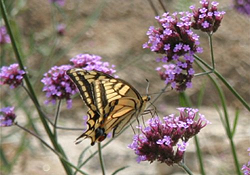 ���᡼�� 1