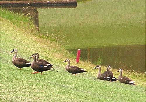 ���᡼�� 1