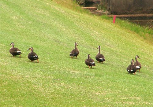 ���᡼�� 2