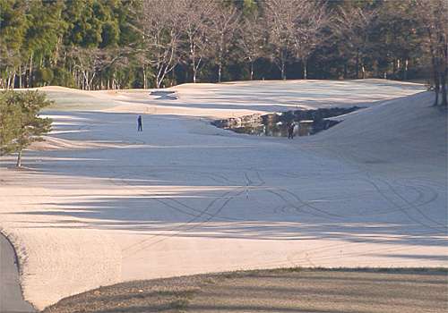 ���᡼�� 1