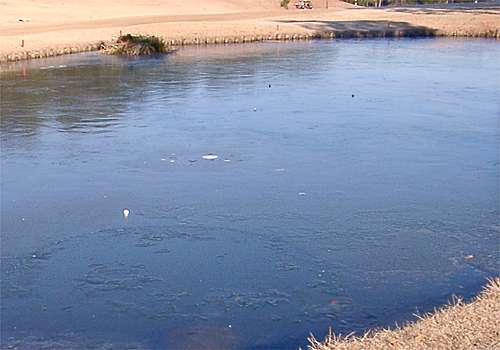 ���᡼�� 2