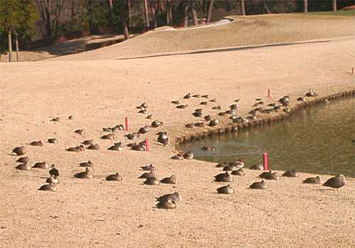 ���᡼�� 4