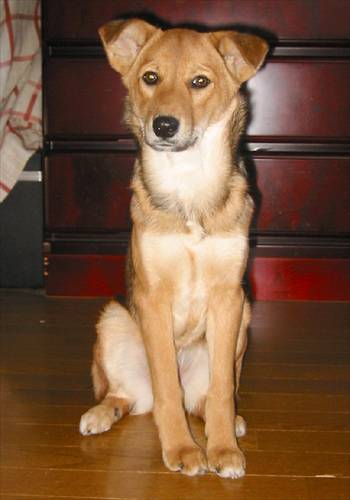 ���᡼�� 2